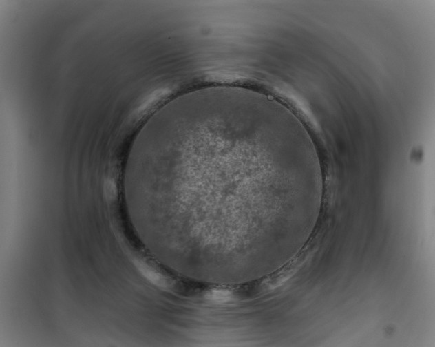 X0000101090114200807031736