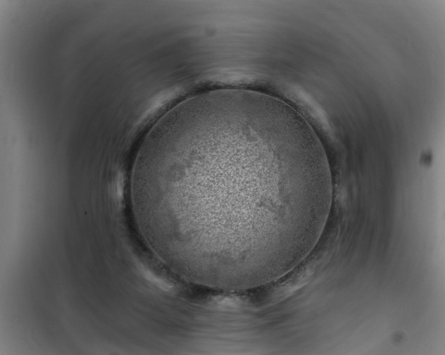 X0000101090115200807031736