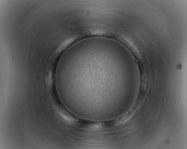 X0000101090116200807031736