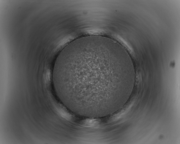 X0000101090117200807031736