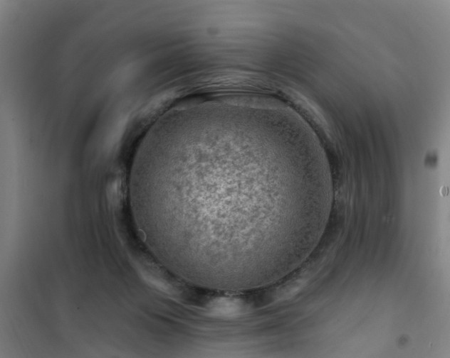 X0000101090119200807031735