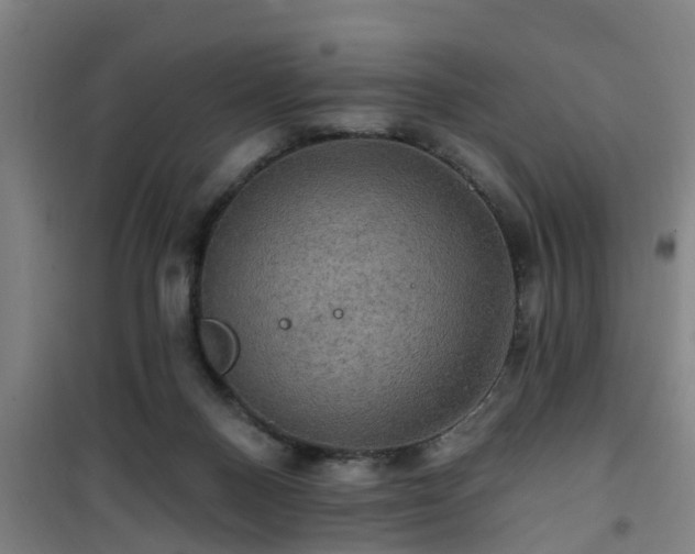 X0000101090120200807031735