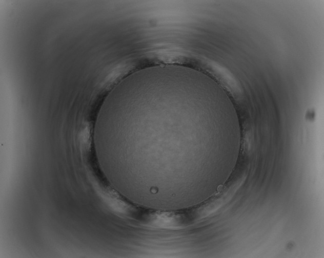 X0000101090121200807031735