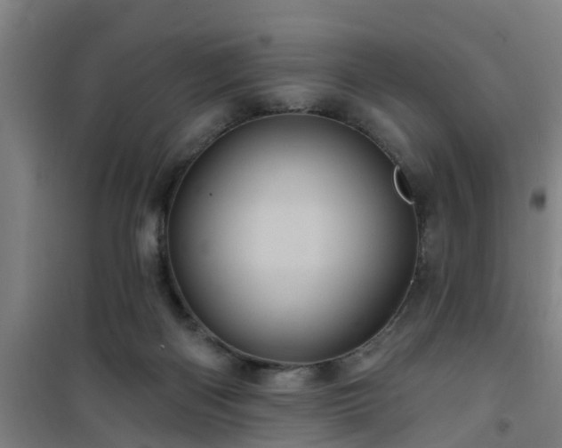 X0000101090122200807031735