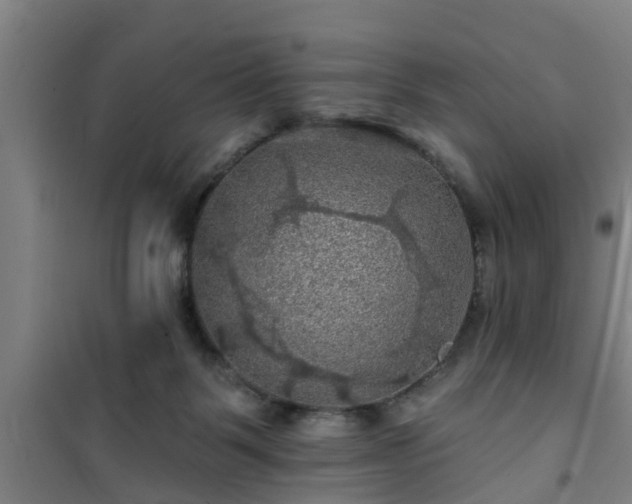 X0000101090123200807031735