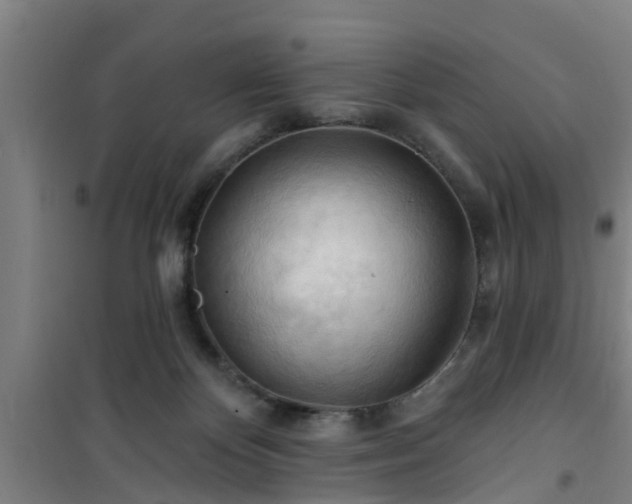 X0000101090124200807031735