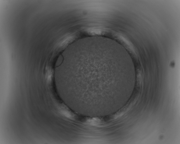 X0000101090125200807031735