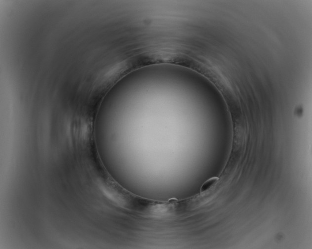 X0000101090126200807031735