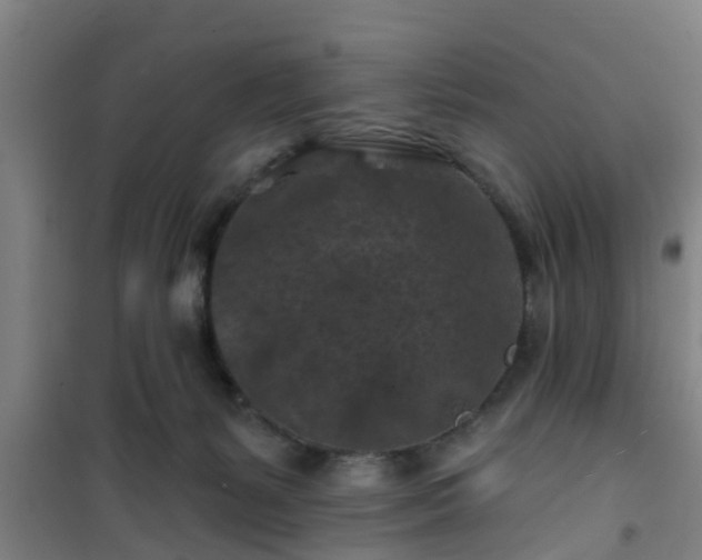 X0000101090127200807031735