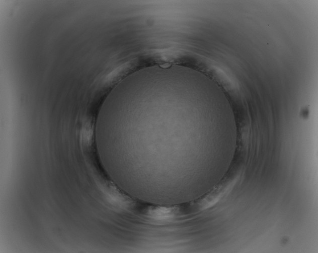 X0000101090129200807031735