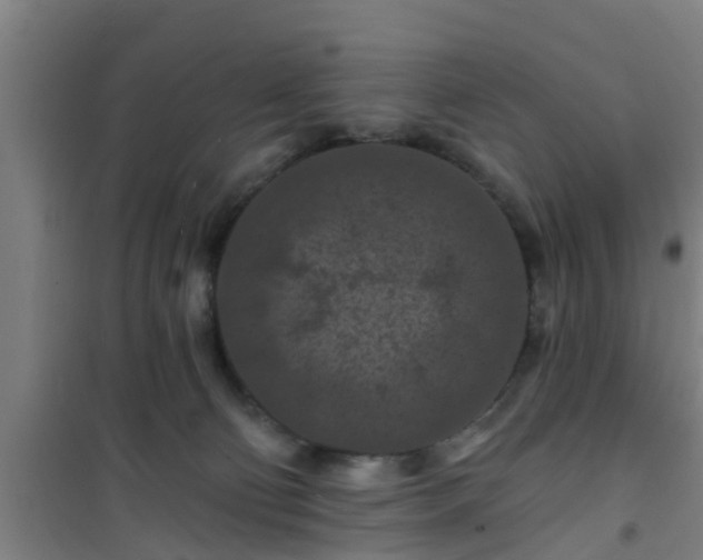 X0000101090130200807031735