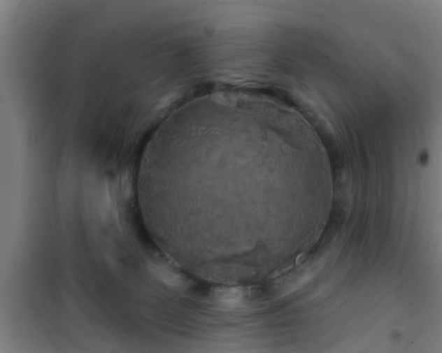 X0000101090131200807031735