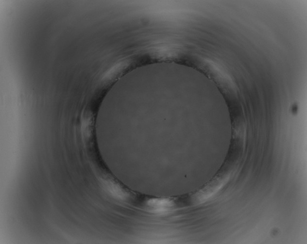 X0000101090133200807031735