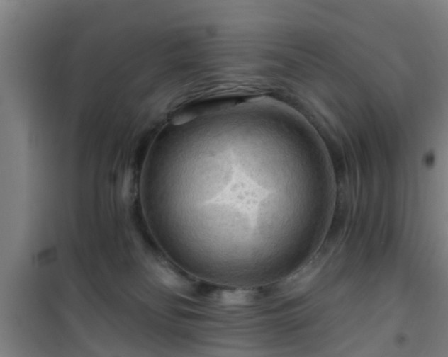 X0000101090134200807031735