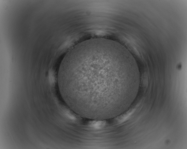 X0000101090135200807031735