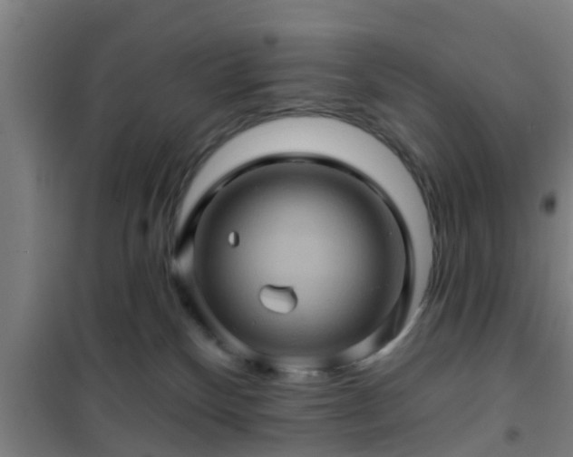 X0000101090136200807031735