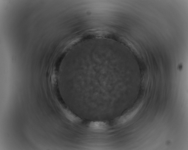 X0000101090137200807031735