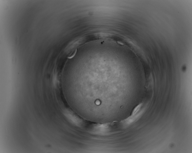 X0000101090140200807031735