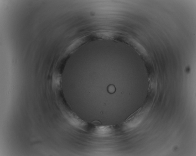 X0000101090141200807031735