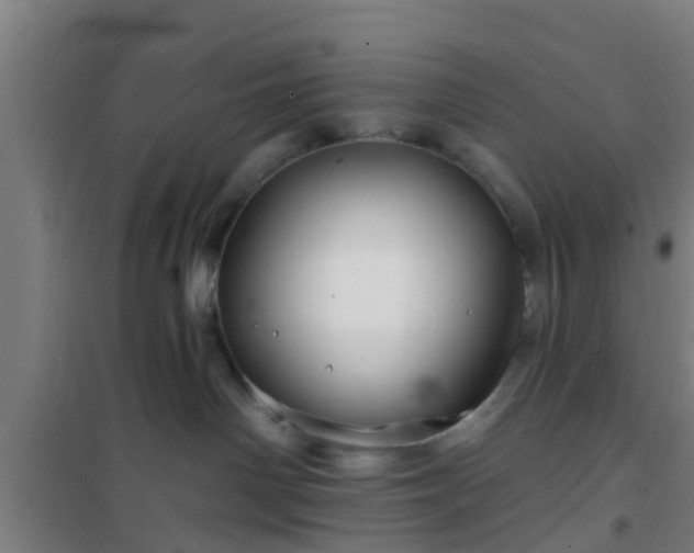 X0000101090142200807031735