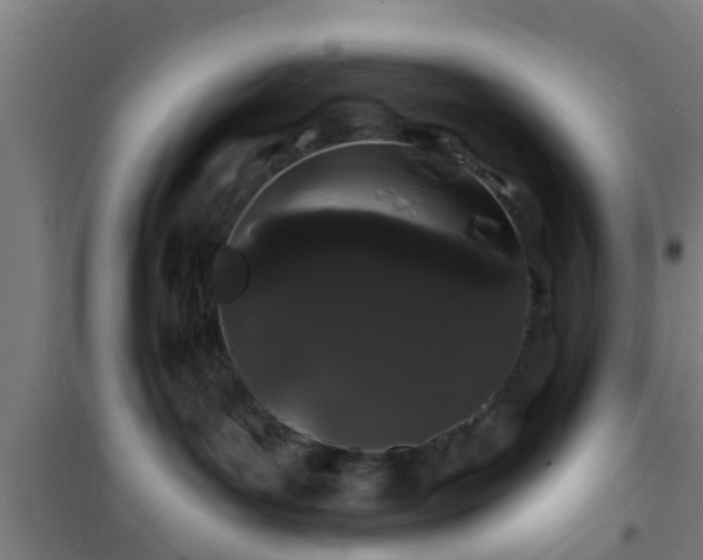 X0000101090143200807031735