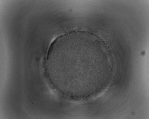 X0000101090144200807031735