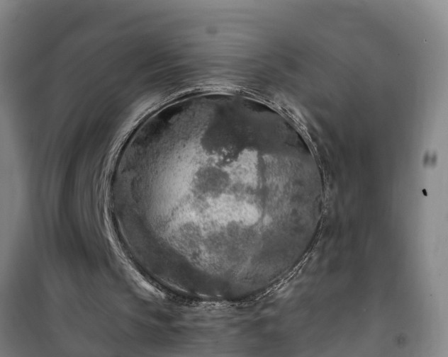 X0000101090145200807031734