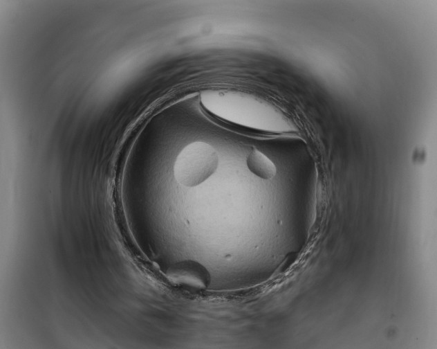 X0000101090146200807031734