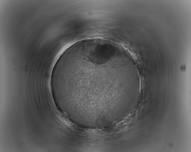 X0000101090147200807031734