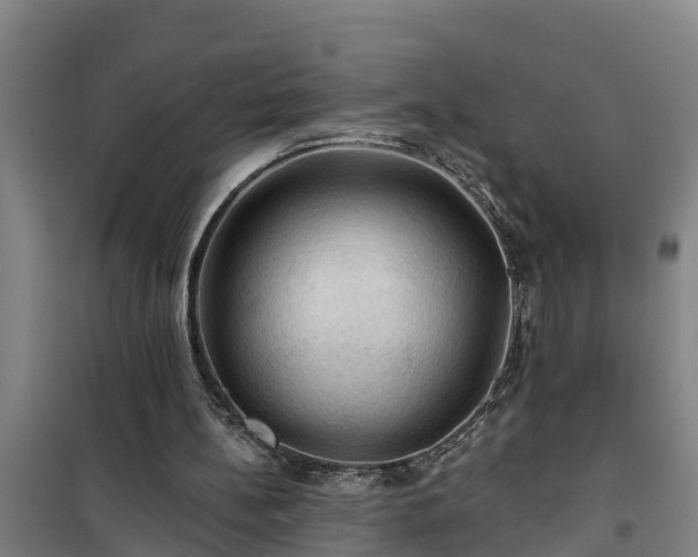 X0000101090148200807031734