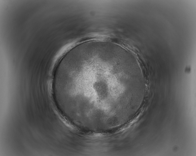 X0000101090149200807031734