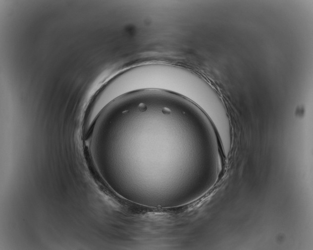 X0000101090150200807031734