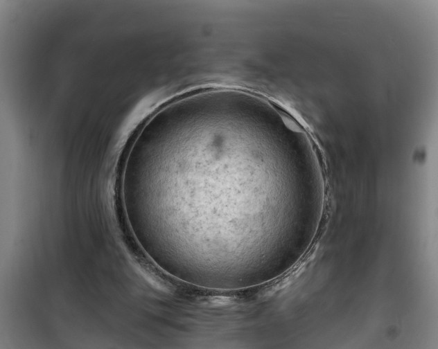 X0000101090151200807031734