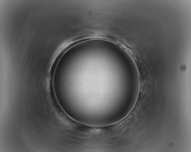 X0000101090152200807031734