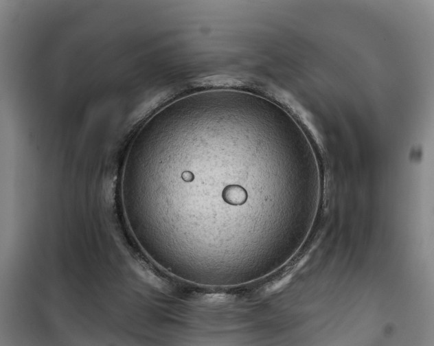 X0000101090153200807031734