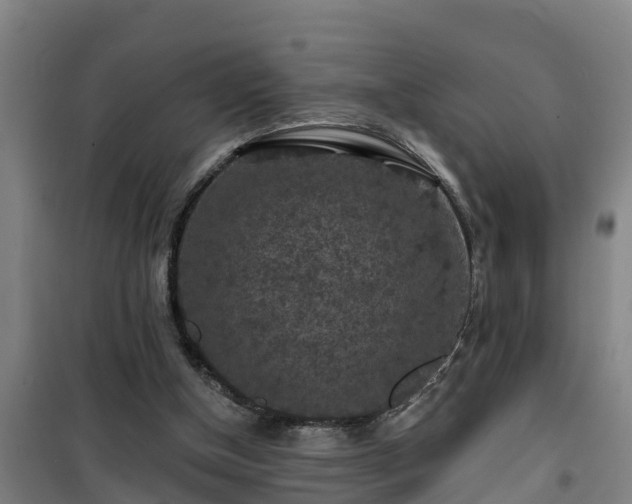 X0000101090154200807031734