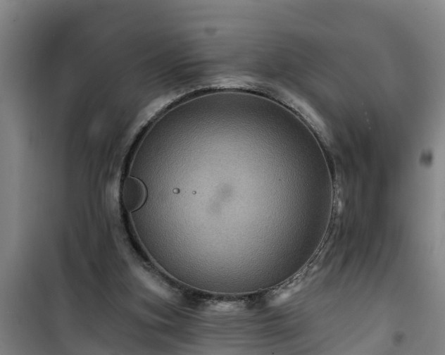 X0000101090155200807031734