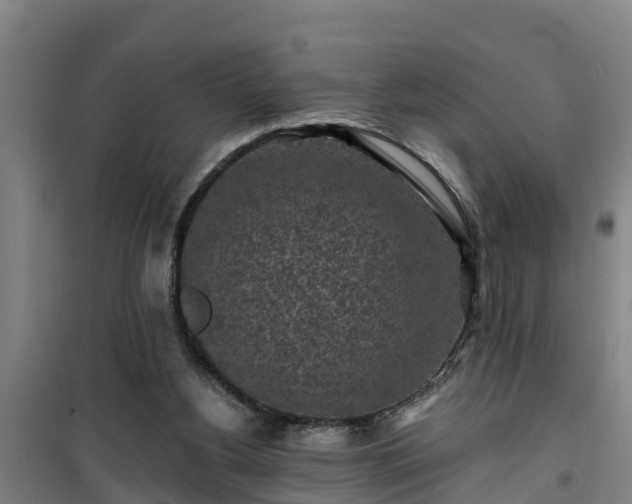 X0000101090156200807031734