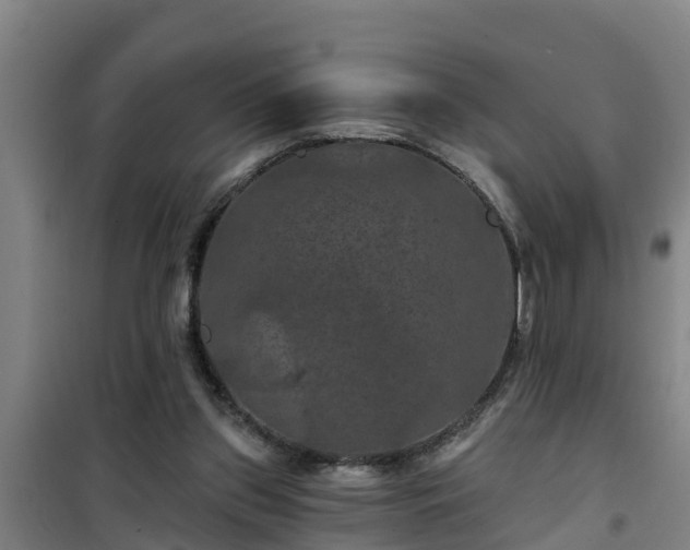 X0000101090157200807031734