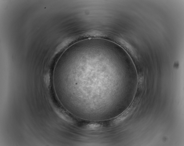 X0000101090158200807031734