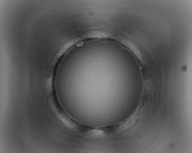 X0000101090159200807031734