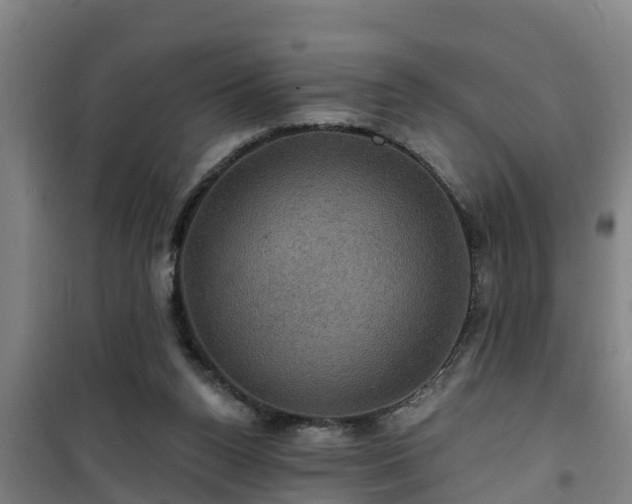 X0000101090160200807031734