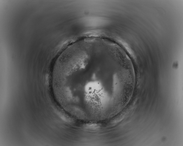 X0000101090161200807031734