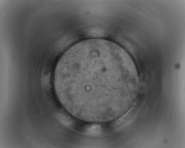 X0000101090162200807031734