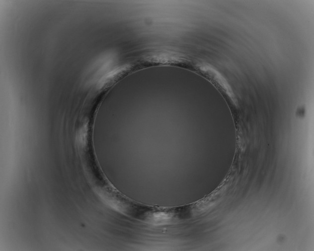 X0000101090163200807031734