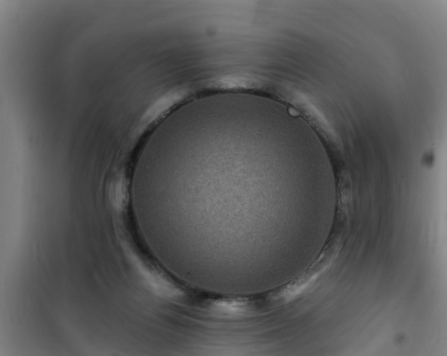 X0000101090164200807031734