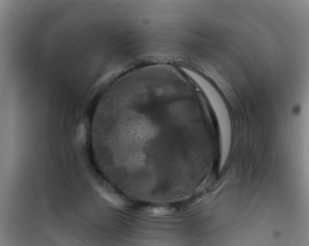 X0000101090165200807031734