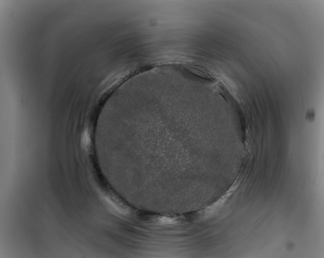 X0000101090166200807031734