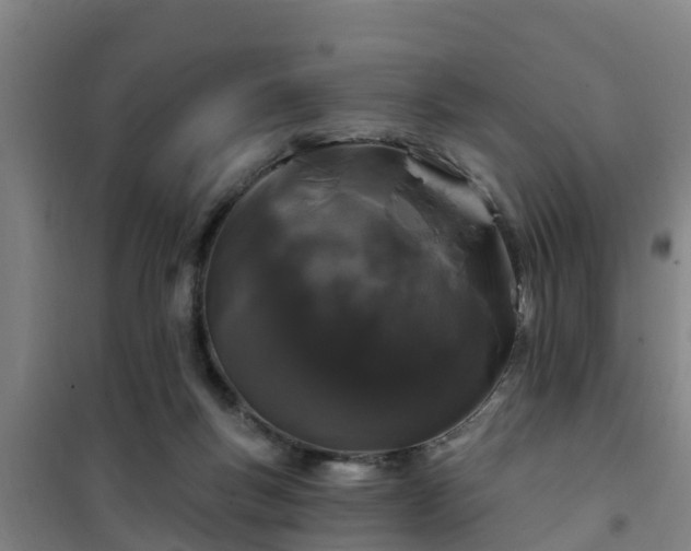 X0000101090167200807031734