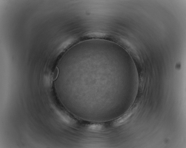 X0000101090168200807031734